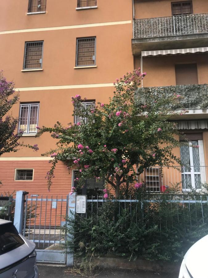 Appartamento 4 Posti Letto In Zona Tranquilla E Ben Servita, Un Matrimoniale E Un Divano Letto Matrimoniale Facebook Massimo Bobo Aquili Bologna Eksteriør bilde